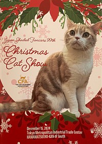 CFA キャットショー 猫