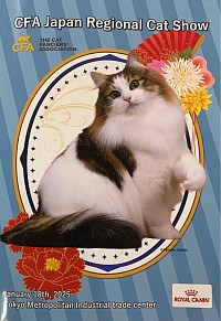 #CFA #Cat #Show