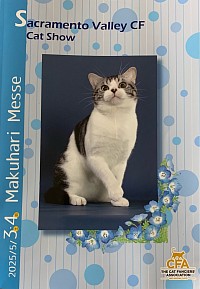 CFA Cat Show